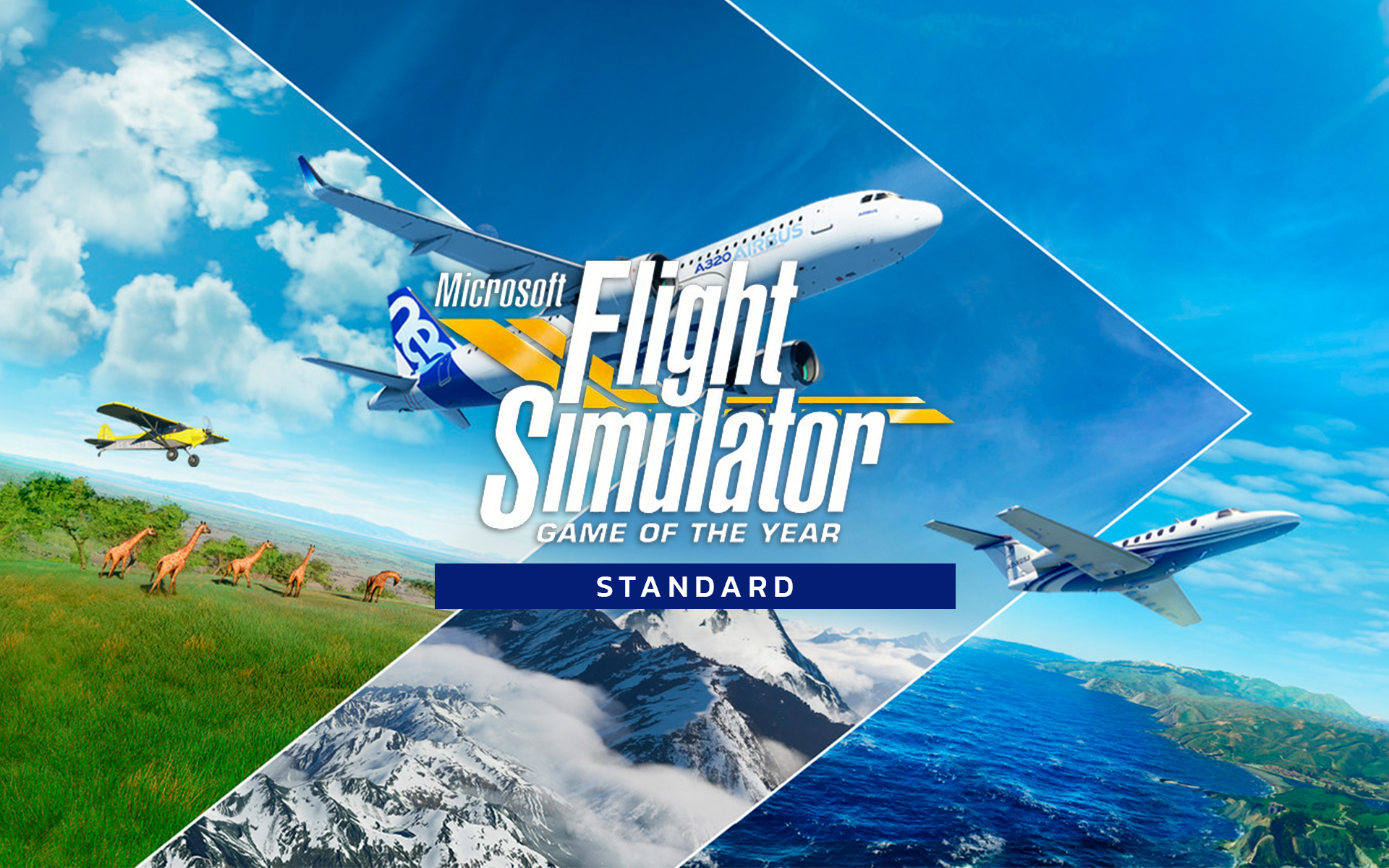 Microsoft Flight Simulator: Standard Game of the Year Edition